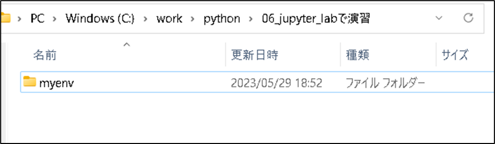 【Python環境構築】仮想環境情報