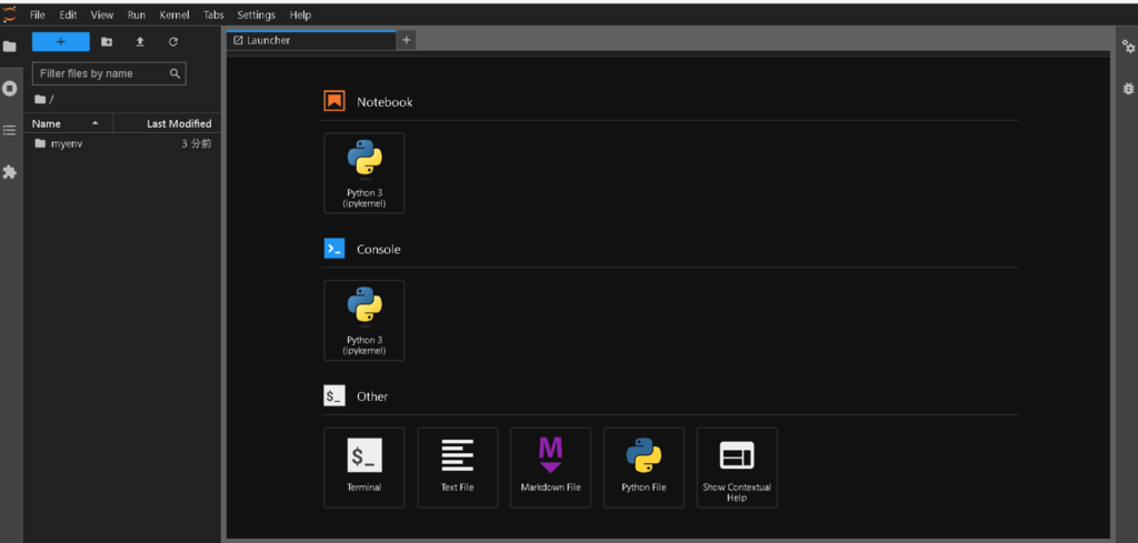 【Python環境構築】Jupyter-labの初期表示